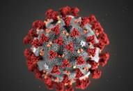 Coronavirus 6 Indian companies racing clock to find COVID-19 vaccine