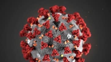 Coronavirus 6 Indian companies racing clock to find COVID-19 vaccine