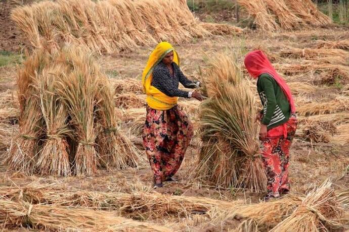 लॉकडाउन में किसानों को बड़ी रियायत, अब कर सकेंगे ये सब काम