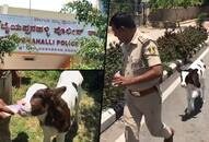 Cow melts the heart of Bengaluru Police officer, who turns gau rakshak