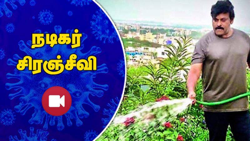 Look at this video of Actor Chiranjeevi keeping his garden clean during quarantine.