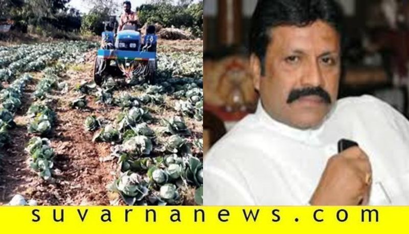 compensation will not be given to those who destroy crops says bc patil