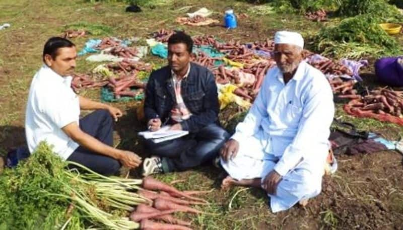 Biofortified Carrot peculiarities