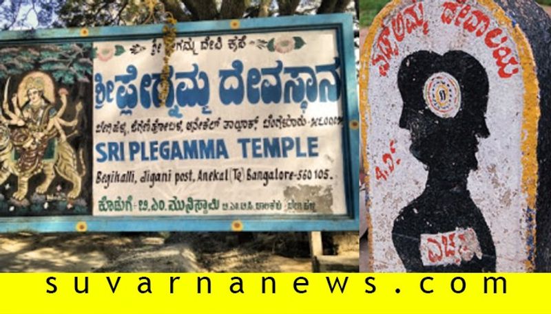 Karnataka people are offering Pooja to Karonamma as Plagamma and Sidubamma