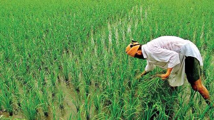 लॉकडाउन में कोई भूखा ना रहे, इसलिए किसान ने पूरी जिंदगी की कमाई की दान, दिए 50 लाख रुपए