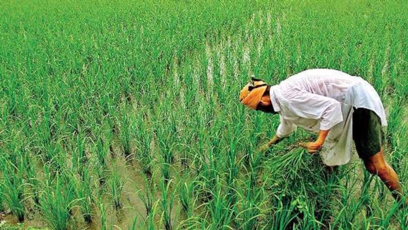 कोरोना संकट के बीच सब्सिडी को लेकर राजस्थान में भाजपा और कांग्रेस के बीच छिड़ा युद्ध