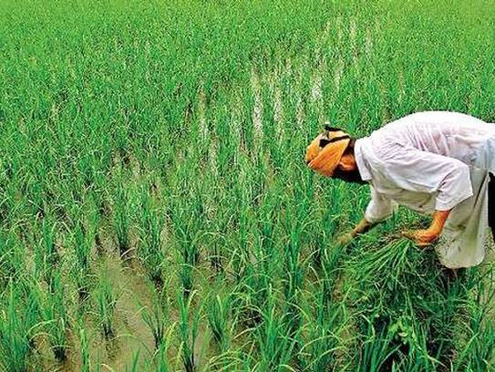 War between BJP and Congress in Rajasthan over subsidy amid Corona crisis