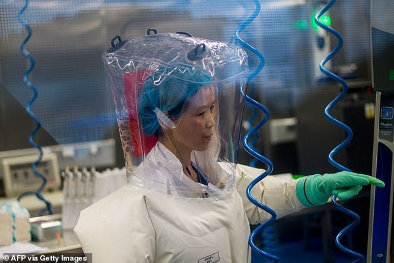 China Bat Woman Warns Coronavirus Is Just Tip Of The Iceberg