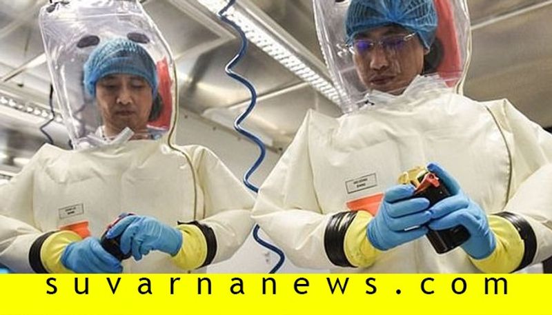 New swine flu strain  wit pandemic potential discovered in China