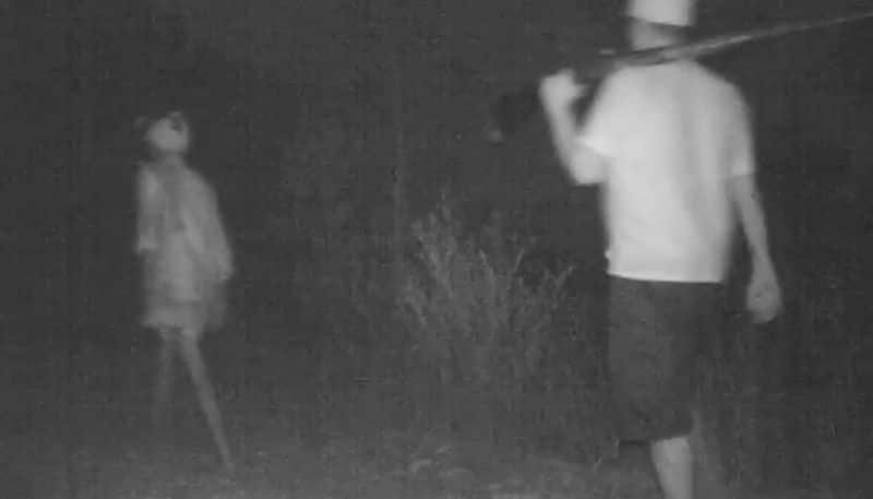 Making most of lockdown: Poachers enter forest with arms, captured on surveillance camera