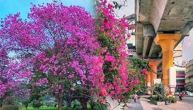Asianet Image
