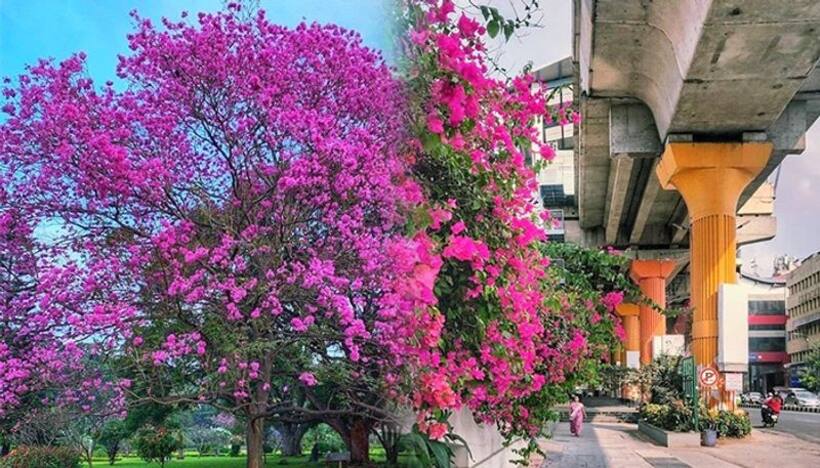 Re visioning a green Bengaluru for 2030