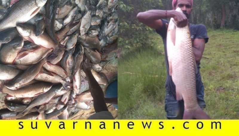 Man from madikeri earns 6 lakhs within 2 days by selling fish in midst of lockdown