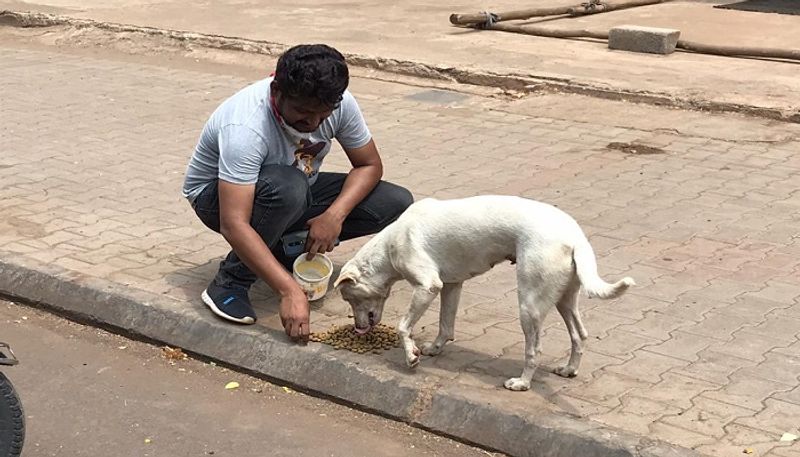 Young Man Nikhilesh Kundagol Distribution of food to Street Dogs in Hubballi during India LockDown