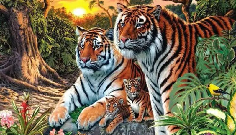 online game in which people can spot how many tigers in a single pic