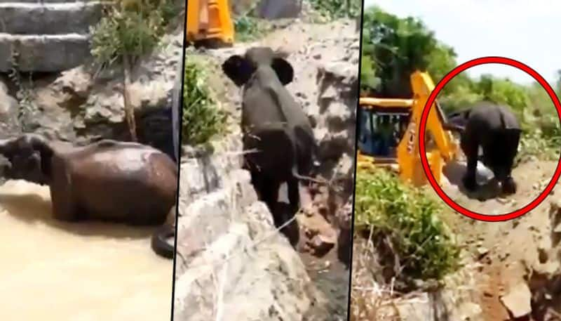 Elephant Rescued in Chamarajanagar video goes Viral