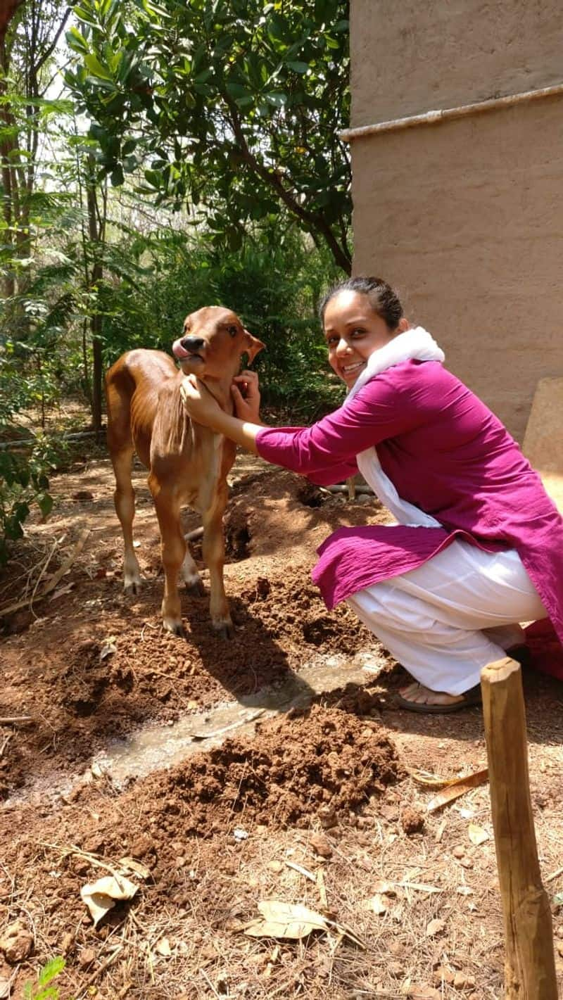 former lawyer now delivers vegetables