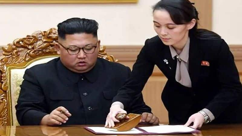 north Korea warning south Korea regarding activist