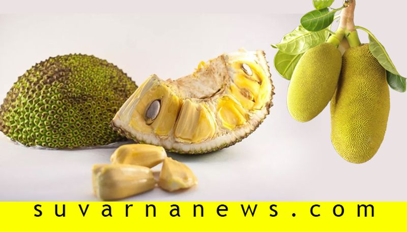 Health benefits of jack fruit seeds