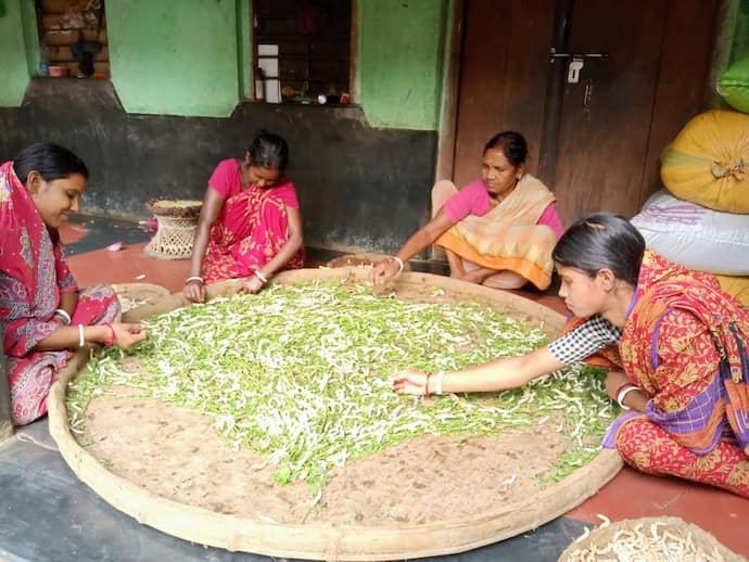 লকডাউনের জেরে ক্রেতাদের দেখা নেই, মাথায় হাত বীরভূমের রেশমগুটি শিল্পীদের