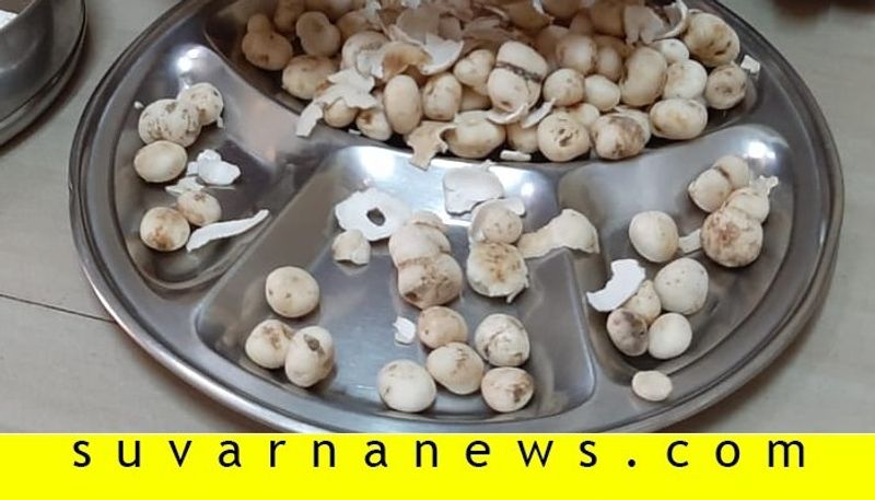 Mushrooms in first rain in Mangalore 600 per kg