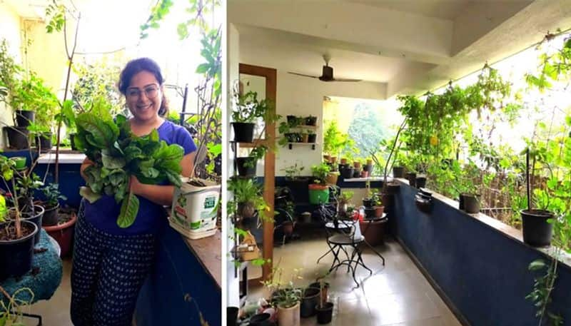 vegetables and fruits from own balcony