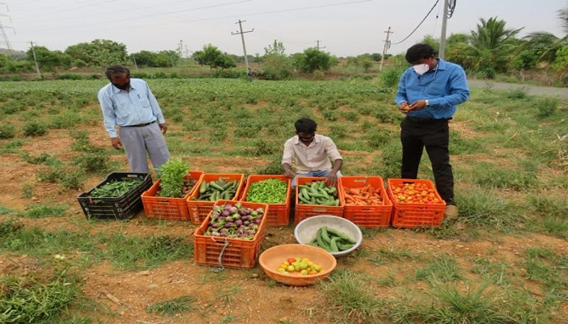 Farmer got Profit from vegetable sales in Haveri District during LockDown