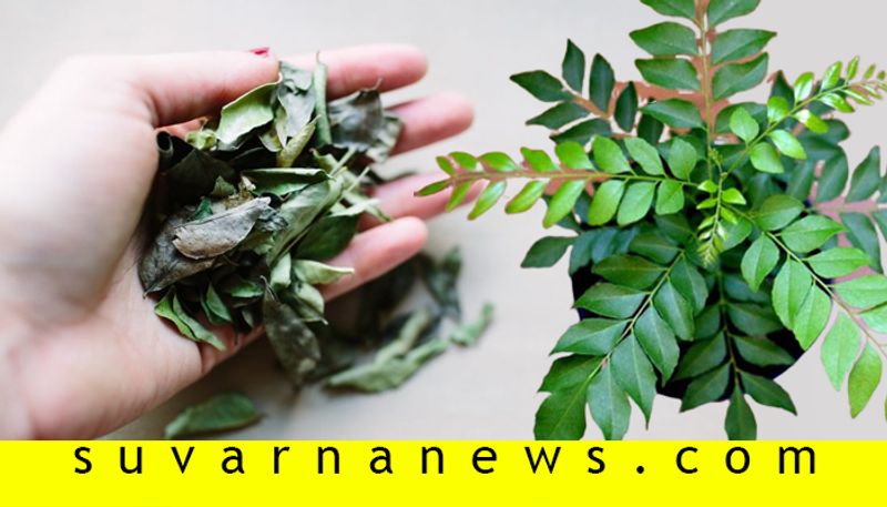 Health benefits of curry leaves which must need for our body