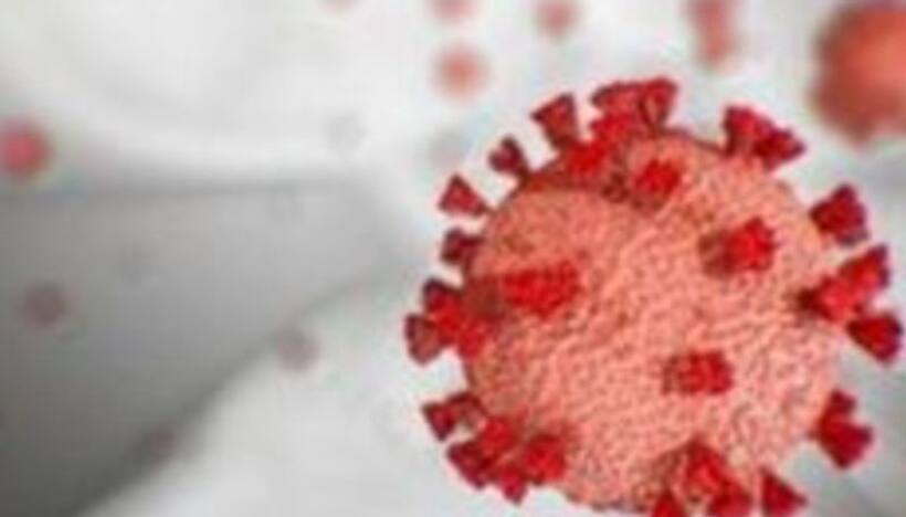 Karnataka registers highest single day spike with 67 COVID 19 cases