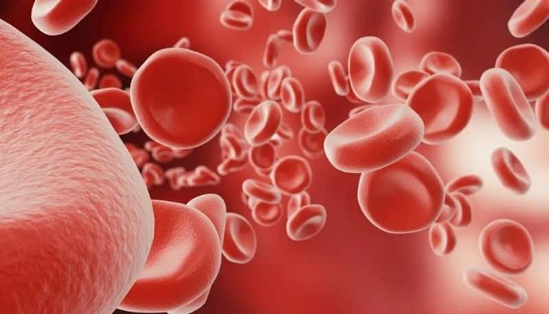 What foods increase hemoglobin levels? rsl