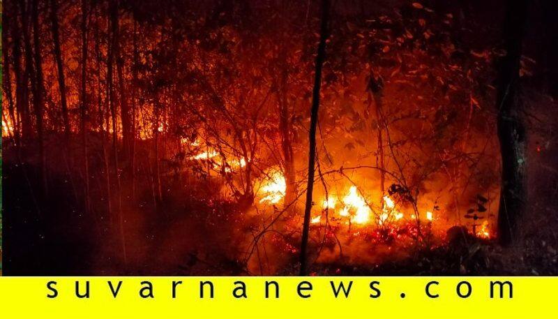 Fire in udupi forest at late night