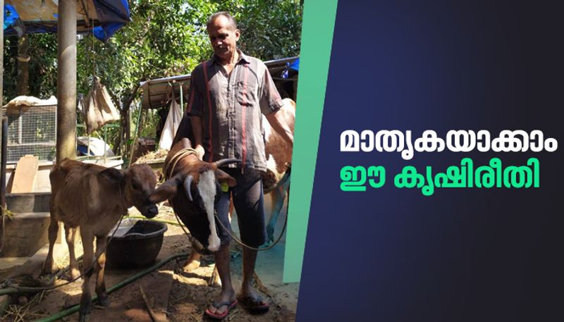 agriculture success story nageswaran from vandoor