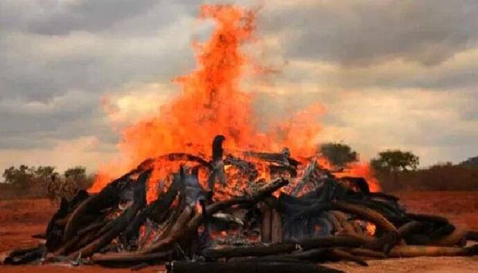 लॉकडाउन में परदेश गए बेटे की मौत, घर नहीं आ पाया शव, पिता ने पुतला बनाकर किया अंतिम संस्कार