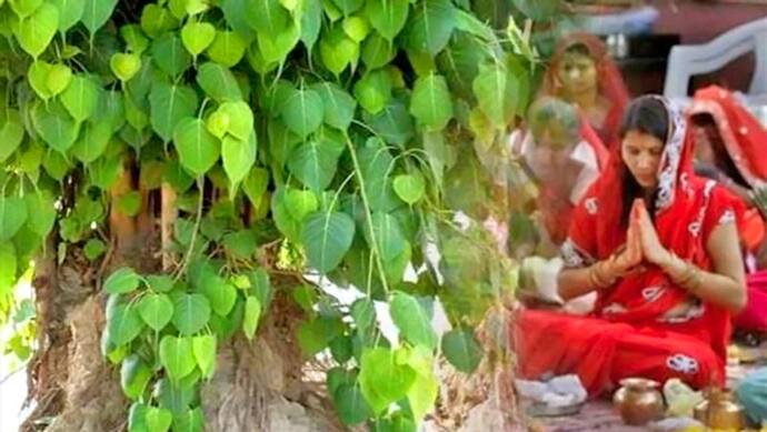 गुरुवार को करें ये 8 उपाय, इनसे पति-पत्नी में बना रहेगा तालमेल और हो सकता है धन लाभ