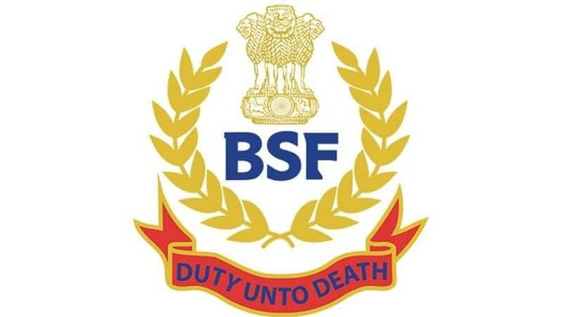 2 BSF personnel die of COVID-19, active cases in 2.5 lakh personnel strong force stand at 193