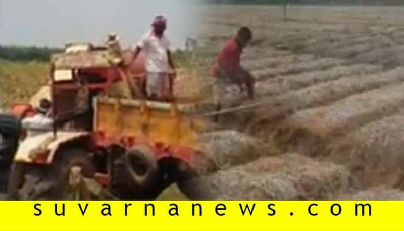 Corona lockdown Effect Shivamogga Techie Turns Farmer