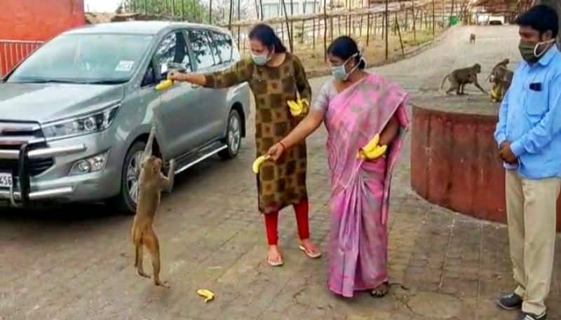 telangana minister koppula eshwar wife step out to feed stray dogs amid lockdown