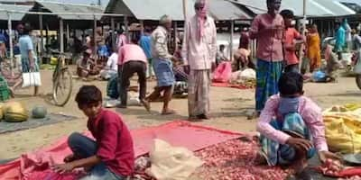 লকডাউনেও হাট বসল উত্তর দিনাজপুরে, মাস্ক না পরেই ভিড় জমাল ভিনরাজ্যের মানুষ