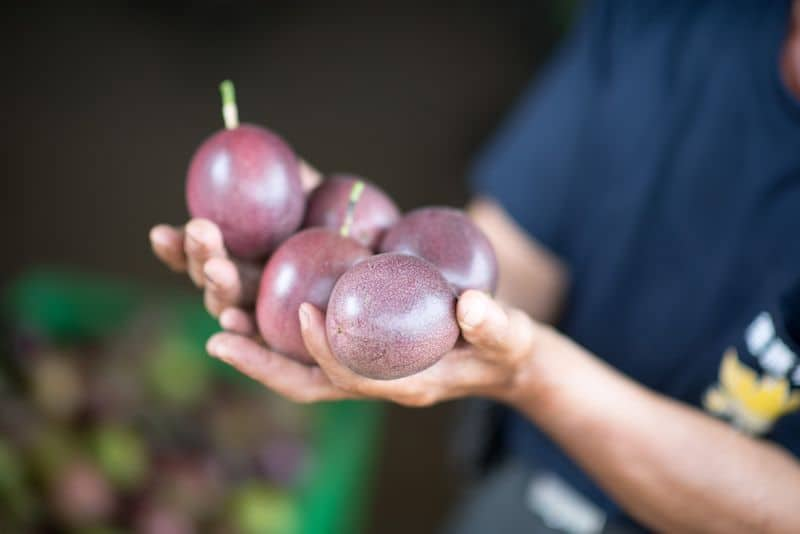 Passion fruit how to grow