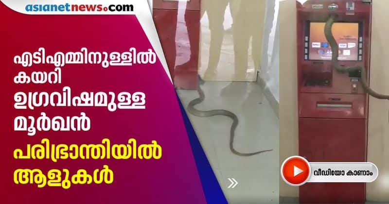 Bank customers shocked to see a snake in ATM