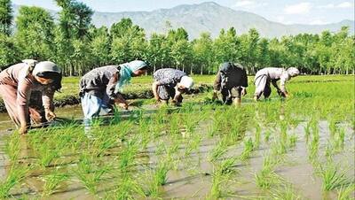 PM किसान स्कीम में सालाना मिलते हैं पैसे, अब जोड़े जा रहे नए किसानों के नाम