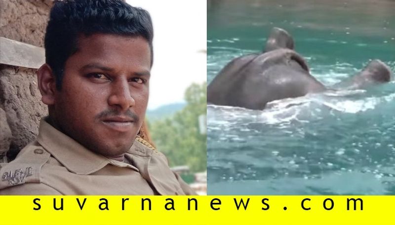 Forest watcher washed away while retrieving elephant carcass