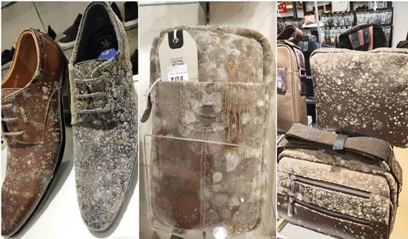 Lockdown ruins leather products in Malaysian mall as mould covers them