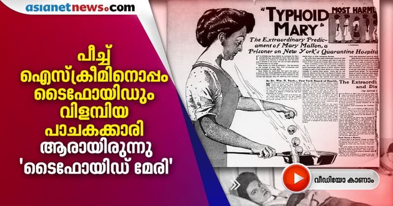 story of typhoid mary