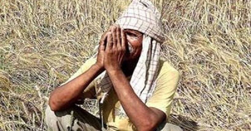 पंजाब में सड़कों में सब्जी फेंकने को मजबूर है अन्नदाता