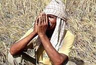 farmer is forced to throw vegetables in roads in Punjab