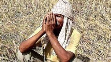 farmer is forced to throw vegetables in roads in Punjab