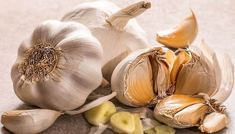 how to grow garlic in home