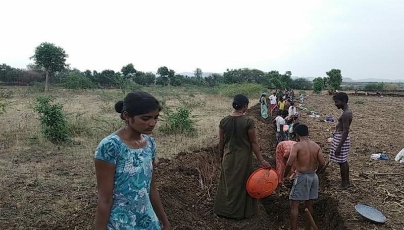 Graduated Young woman Work in  Mahatma Gandhi Employment Guarantee Scheme in Haveri