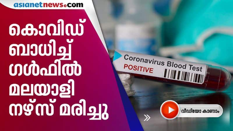 malayali nurse dies due to covid19 in kuwait